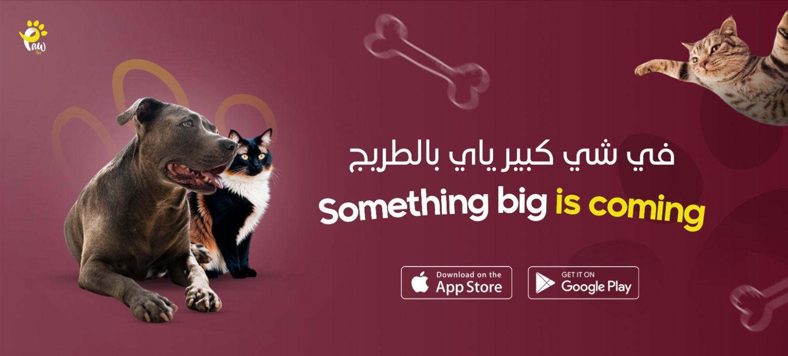 Welcome to PawApp Banner